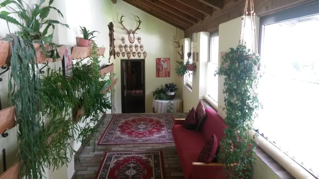 פלדרס Hotel Alpenblick מראה חיצוני תמונה